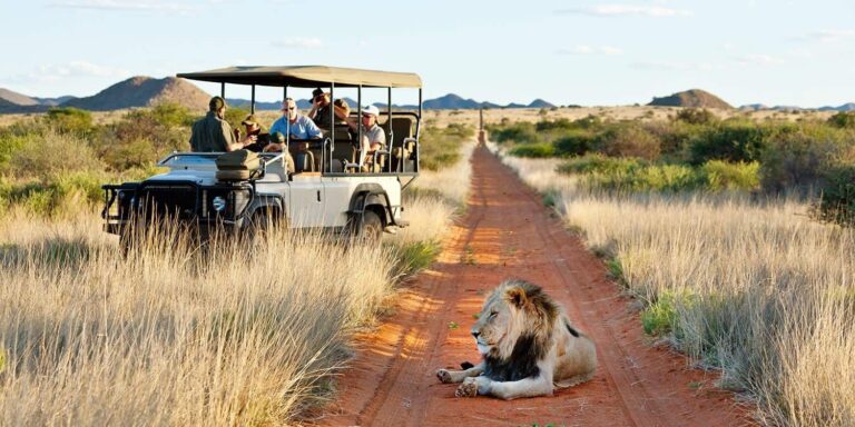 SUDAFRICA, TANZANIA Y ZANZIBAR ⫸ NOV 2025