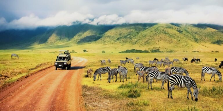 TANZANIA Y ZANZIBAR ⫸ ENERO 2026