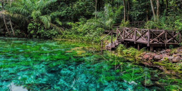 PANTANAL Y BONITO ⫸ JULIO 2026